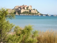 annonces immobiliere 2B